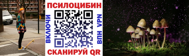 Псилоцибиновые грибы прущие грибы  Купить где  Куртамыш 